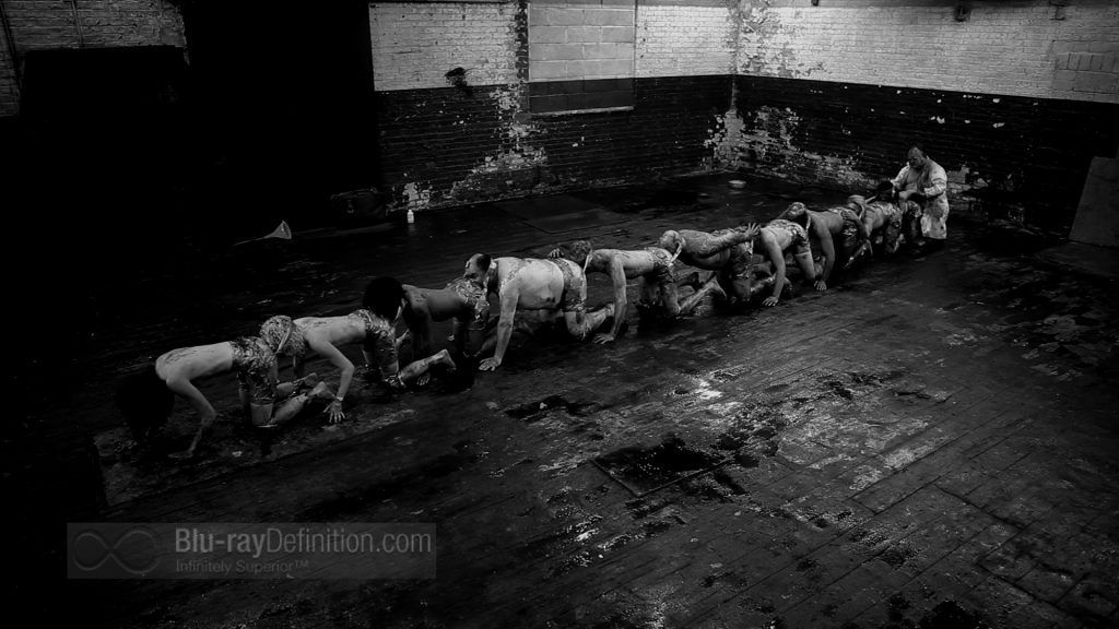 BDDefinitionHumanCentipede224.jpg