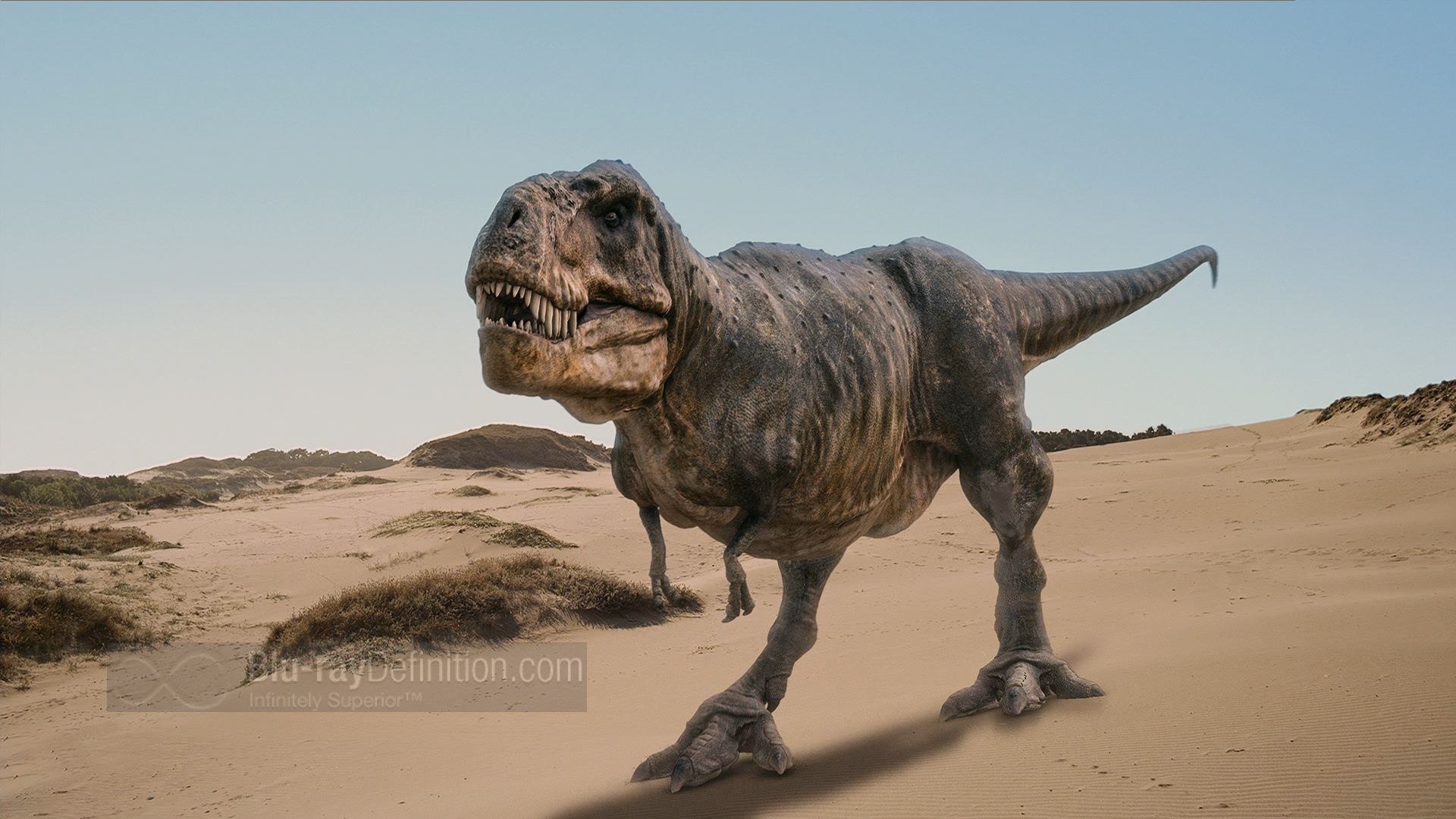 only dinosaur alive