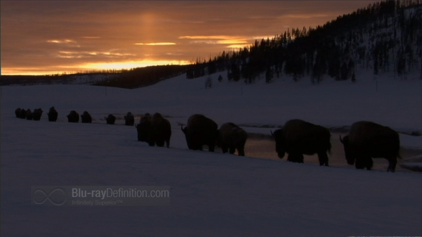 BDDefinitionyellowstone-f1080