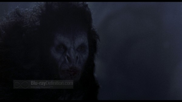 BDDefinitionDracula-x1080 BDDefinitionDracula-x1080