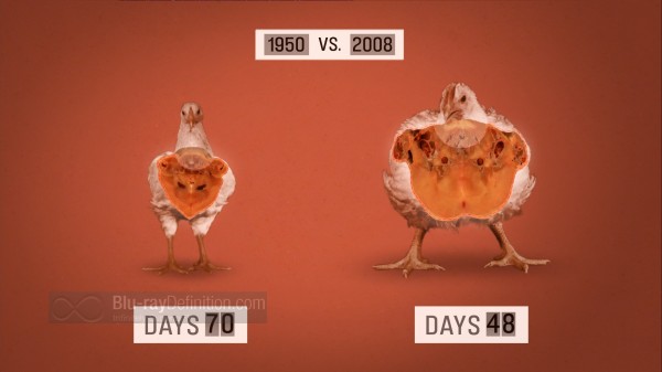 BDDefinitionFood-inc-e1080 BDDefinitionFood-inc-e1080