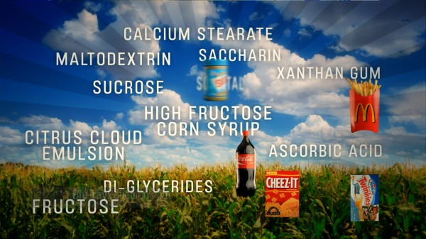 BDDefinitionFood-inc-i1080 BDDefinitionFood-inc-i1080