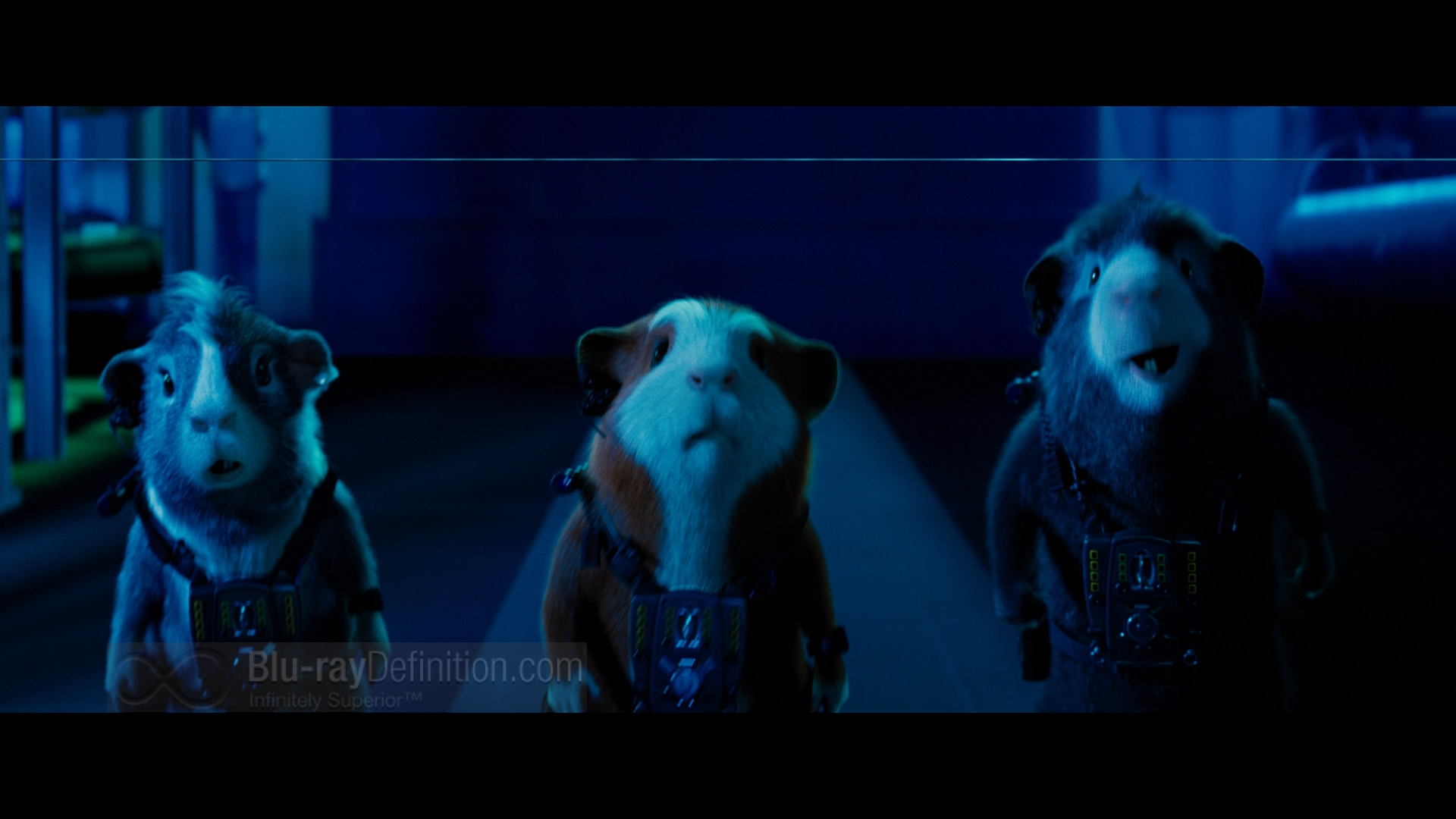 GForce Bluray Review HighResolution Screen Captures TheaterByte