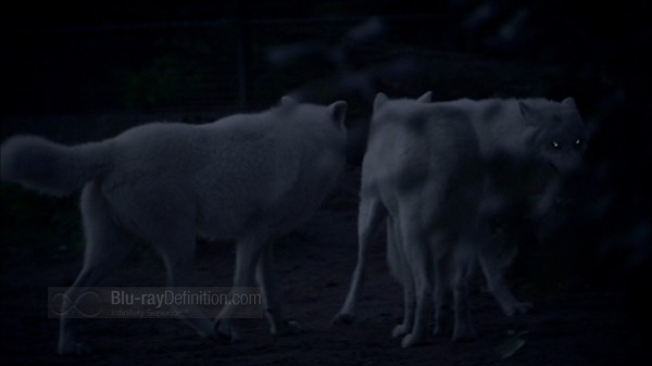 BDDefinition-Knut-o-1080 BDDefinition-Knut-o-1080