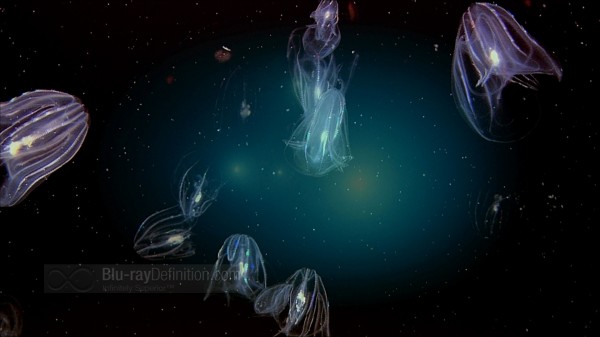 BDDefinition-VolcanoesOfTheDeepSea-gc-1080