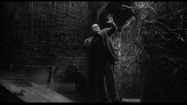 BDDefinition-YoungFrankenstein-c-1080