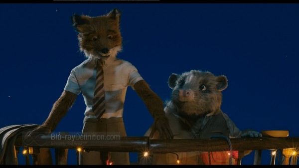BDDefinition-FantasticMrFox-e-1080