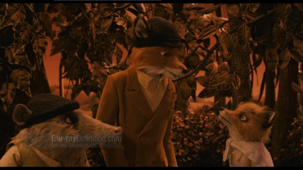 BDDefinition-FantasticMrFox-f-1080