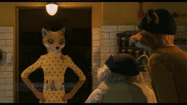 BDDefinition-FantasticMrFox-k-1080
