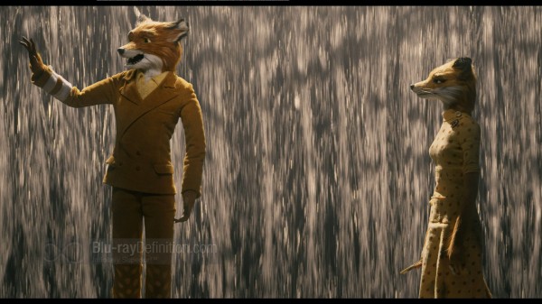 BDDefinition-FantasticMrFox-p-1080