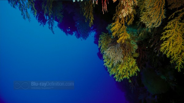 BDDefinition-ImaxUnderTheSea-f-1080