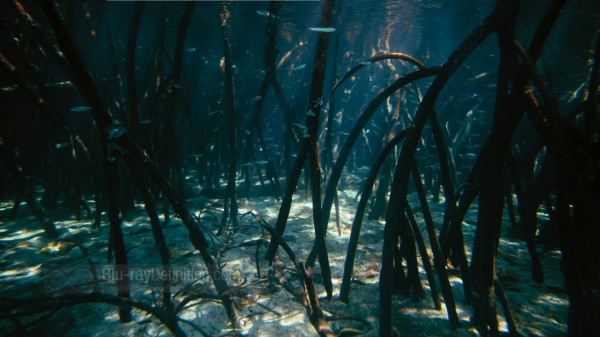 BDDefinition-ImaxUndertheSea-a-1080