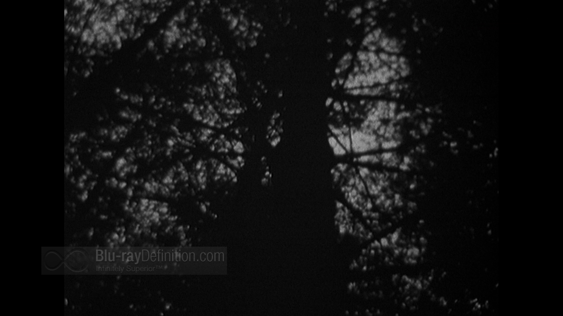 The Blair Witch Project Blu-ray Review | TheaterByte