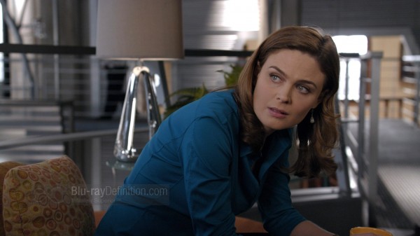 BDDefinition-Bones5-10-1080
