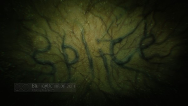 BDDefinition-Splice-1-1080