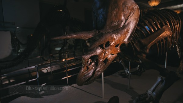 BDDefinitionDinosaursAlive3D-2-1080