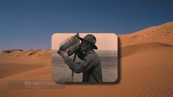 BDDefinitionDinosaursAlive3D-3-1080