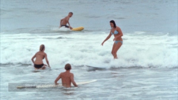 BDDefinitionEndlessSummer-10-1080