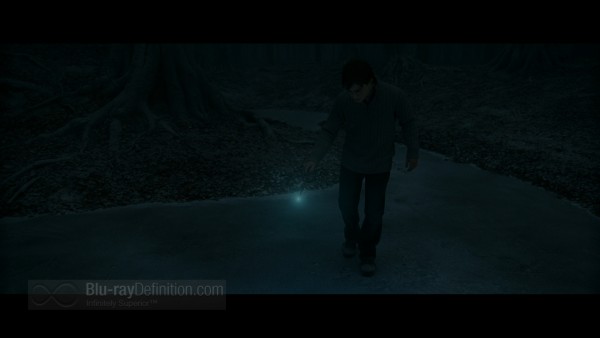 BDDefinitionDeathlyHallowspt1-8-1080