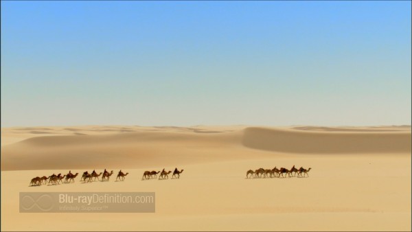 BDDefinitionHumanPlanet-5-1080