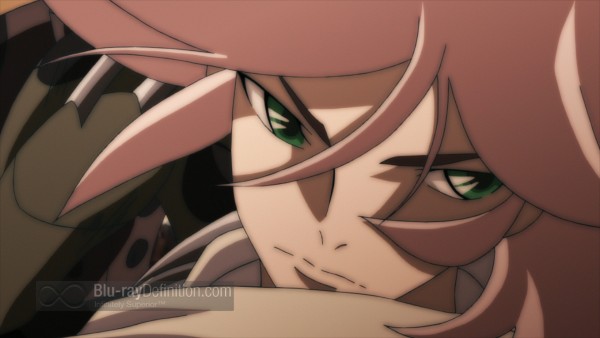 Casshern Sins: The Complete Series