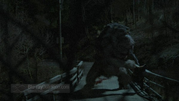 BDDefinition2011Trollhunter-11.WM