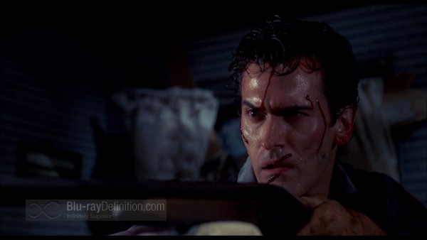 BDDefinitionevildead214