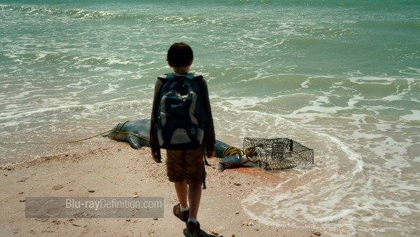 Dolphin_Tale06