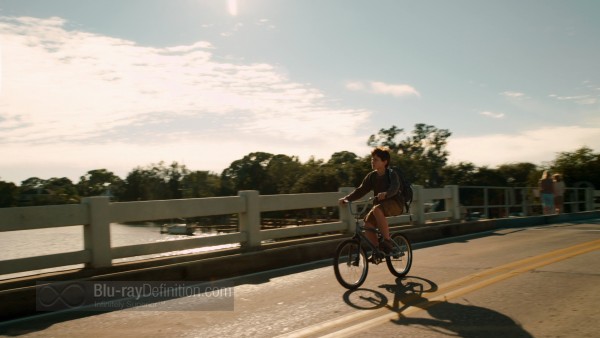 Dolphin_Tale08