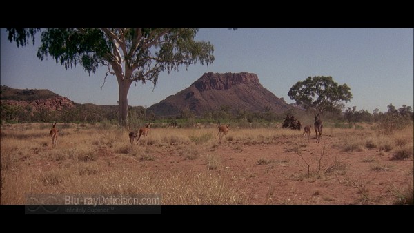 Quigley_Down_Under04