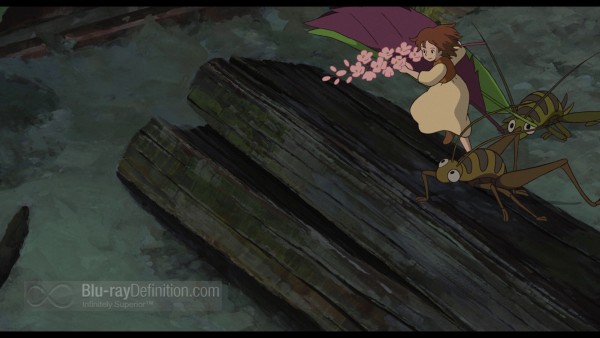 Secret-World-of-Arrietty-借りぐらしのアリエッティ-BD_02