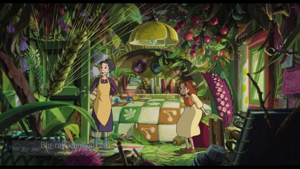 Secret-World-of-Arrietty-借りぐらしのアリエッティ-BD_03