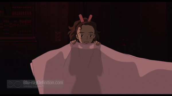 Secret-World-of-Arrietty-借りぐらしのアリエッティ-BD_06
