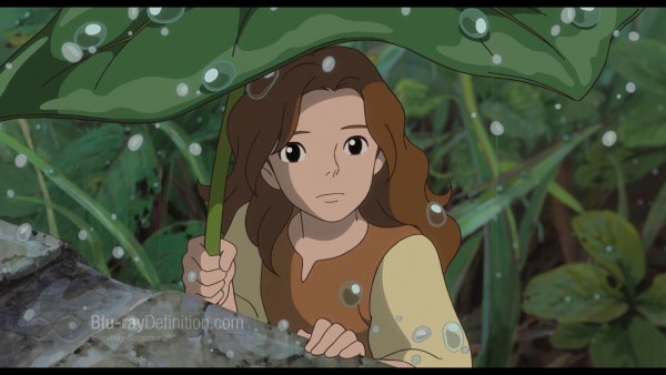 Secret-World-of-Arrietty-借りぐらしのアリエッティ-BD_07