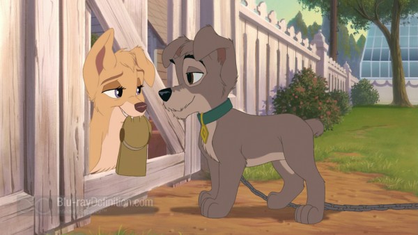 Lady-and-the-tramp-II-BD_05