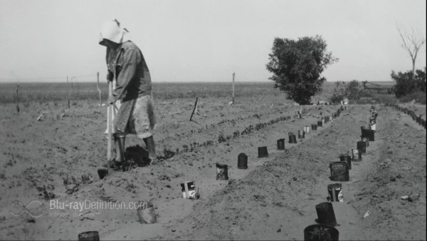 Dust-Bowl-BD_17