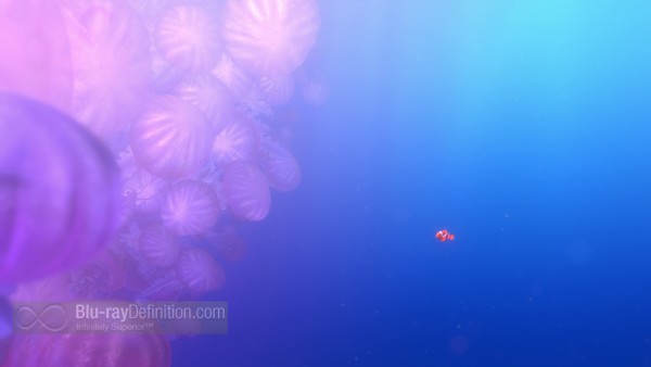 Finding-Nemo-3D-BD_06