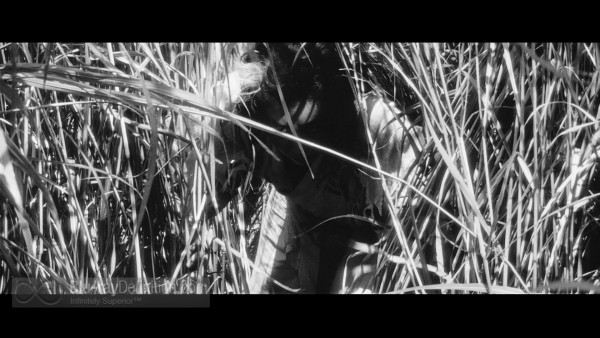 Onibaba-鬼婆 -Masters-of-Cinema-BD_02
