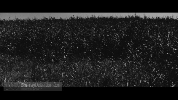 Onibaba-鬼婆 -Masters-of-Cinema-BD_13