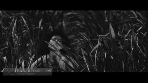 Onibaba-鬼婆 -Masters-of-Cinema-BD_17