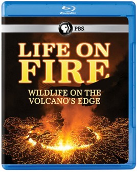 life-on-fire-blu-ray-cover
