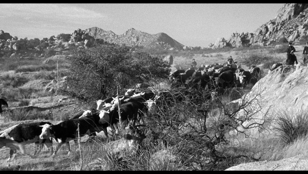 310-to-yuma-criterion-BD_02