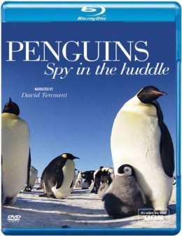 penguins-spy-in-the-huddle-blu-ray-cover