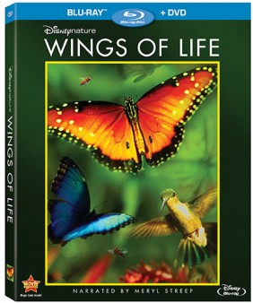 wings-of-life-blu-ray