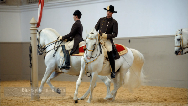 Nature-Legendary-White-Horses-BD_02