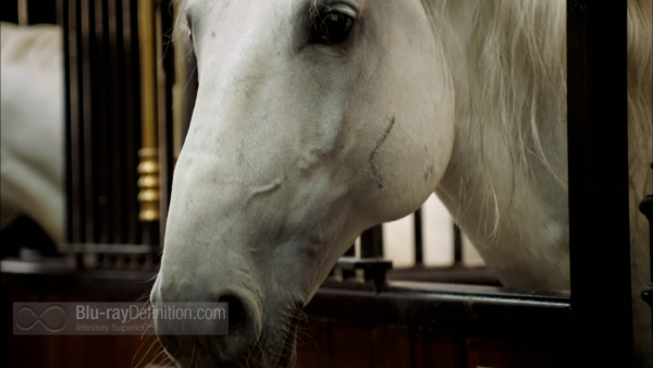 Nature-Legendary-White-Horses-BD_03