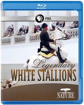 legendary-white-stallions-blu-ray-cover