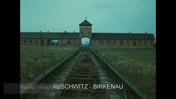 auschwitz