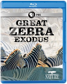 great-zebra-exodus-blu-ray-cover
