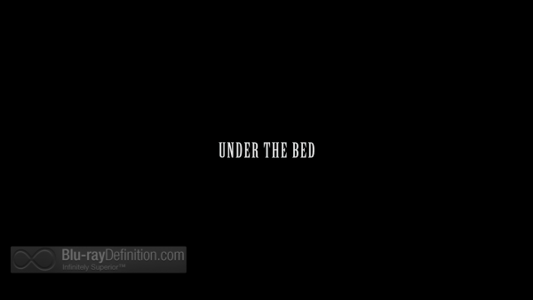 Under-the-bed-BD_02